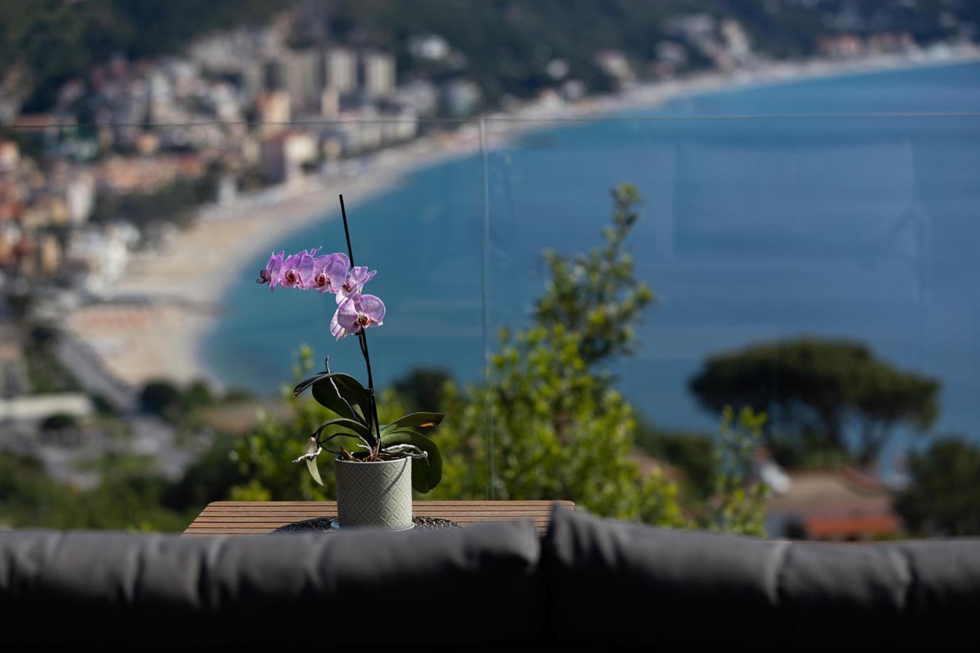 Spettacolare Vista Isola Terrazza E Idromassaggio Villa Noli Exteriör bild